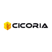 CICORIA