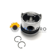 PISTON ECHIPAT R1 87-206808-00; 0079701; 92628630; 350617 0.60MM; 0079301; 32-252AB; 23/32-252AB;