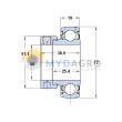 Rulment YET207-SKF; GRAE30; GRAE30RRB; ES206; PEA206; 07-0019; JD39103, 610448.0; GRAE30NPPB 309730; 326796; 80325106; V84737;