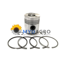 PISTON ECHIPAT STD FIN217PC00; FINIMPIANTI; 29/32-307; 32-307; 003800606, 00380060610, 0.038.0060.6/10, 0.038.0060.61;