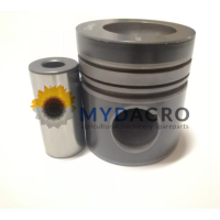 Piston U 33-73; 30/33-73; 3637754M91 , 3638273M91 , 3639434M1 , U5LP0006 , U5LP0013;