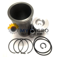 Set motor U 31-64; 25/31-64; 3139586R95;(Contine: 25/35-62,35-62, 25/33-64,33-64, 25/34-65,34-65)