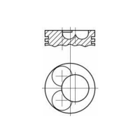 Piston echipat STD 87-520600-00; 583206 STD;