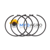 SEGMENTI STD 34-256; 23/34-256; 1909674, 1909861;