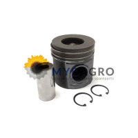 PISTON ECHIPAT STD 32-607; 87-426200-00; NURAL; 30/32-607; 4115P015, 4225019M91; 02/202920; 225-5437; 3135M111; 0439300;
