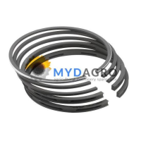 SET SEGMENTI FIN012RS00; FINIMPIANTI; 34-268; 23/34-268; FIAT 315; 4556623, 4556628, 577649, 4556633;;