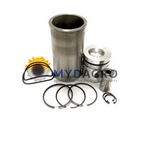 SET MOTOR 3144516R97; KMP; 25/31-113; 31-113; VPB9694;